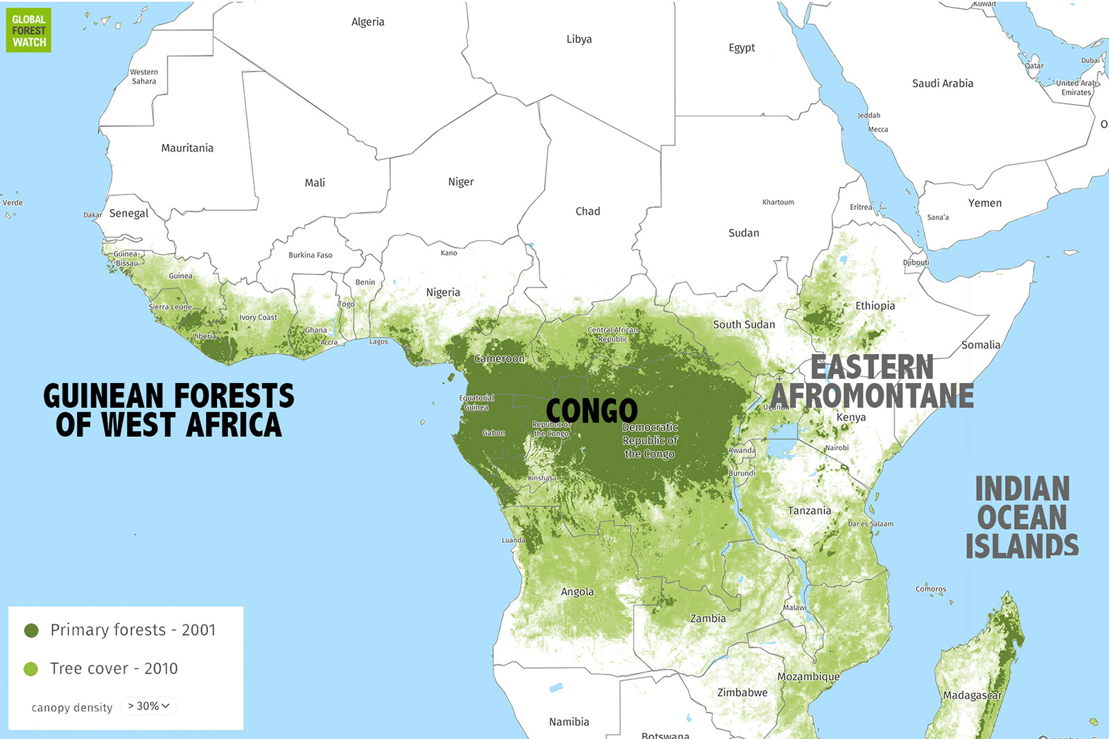 Assalto all’Africa: caccia grossa ai “crediti climatici”, cioè alle terre e alle foreste africane, di Giulia Luzzi