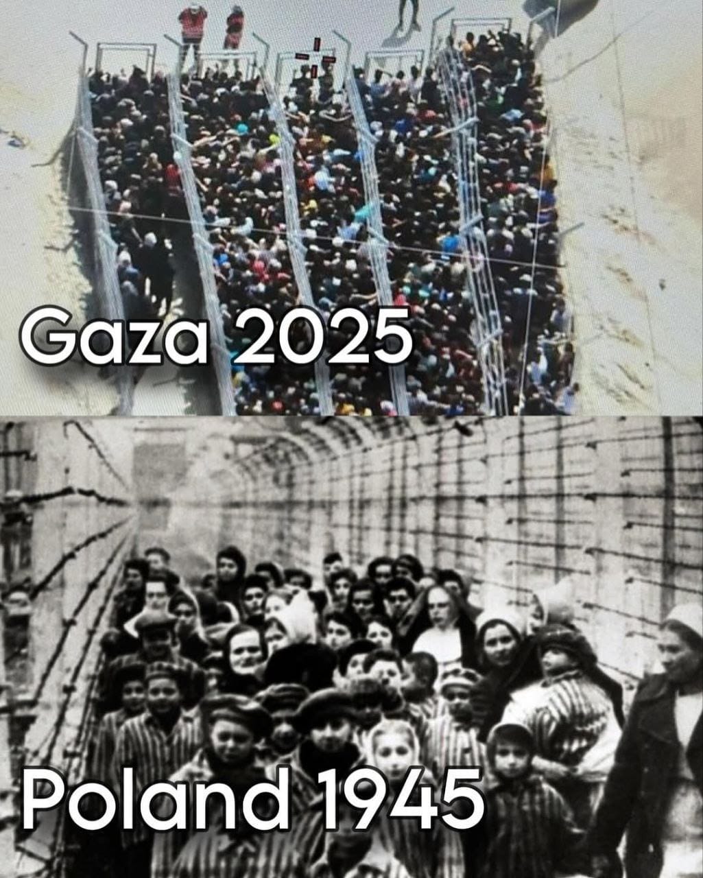 Gli aiuti degli Stati Uniti: una trappola mortale, non un’operazione di salvataggio